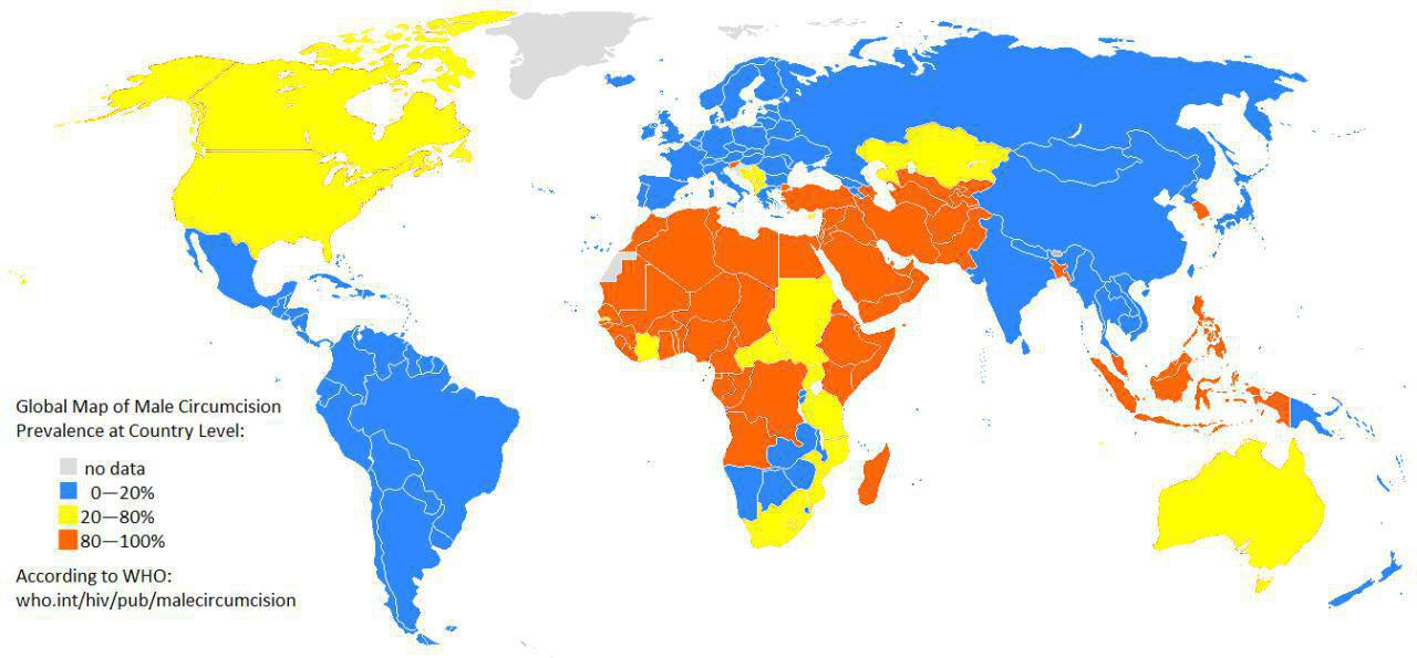 Сколько обрезанных мужчин в разных странах мира