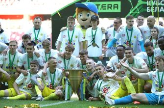 БАТЭ кубок